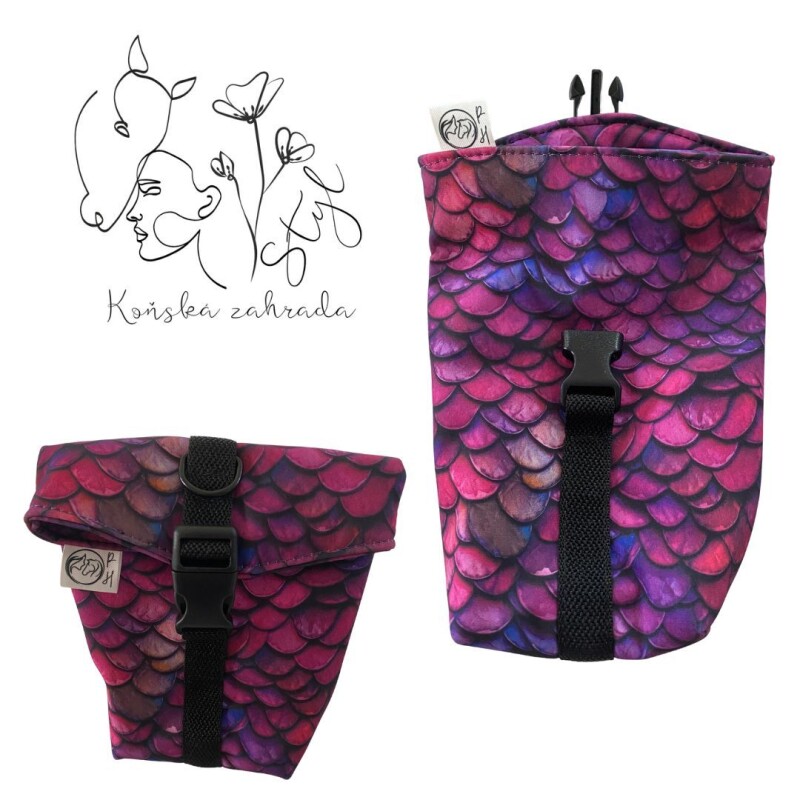 Pamlskovník dračí